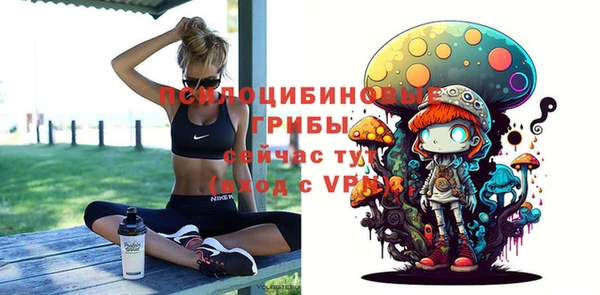 спайс Алзамай
