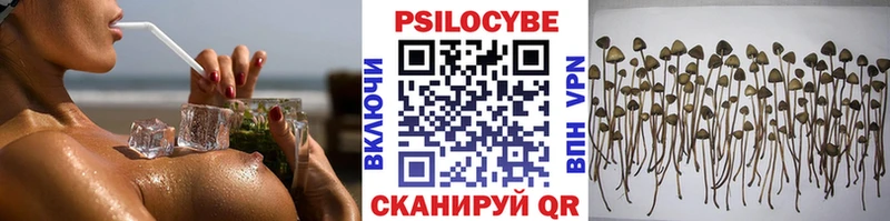 Галлюциногенные грибы Psilocybine cubensis  продажа наркотиков  Нижний Ломов 